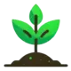 Site Seedling Logo